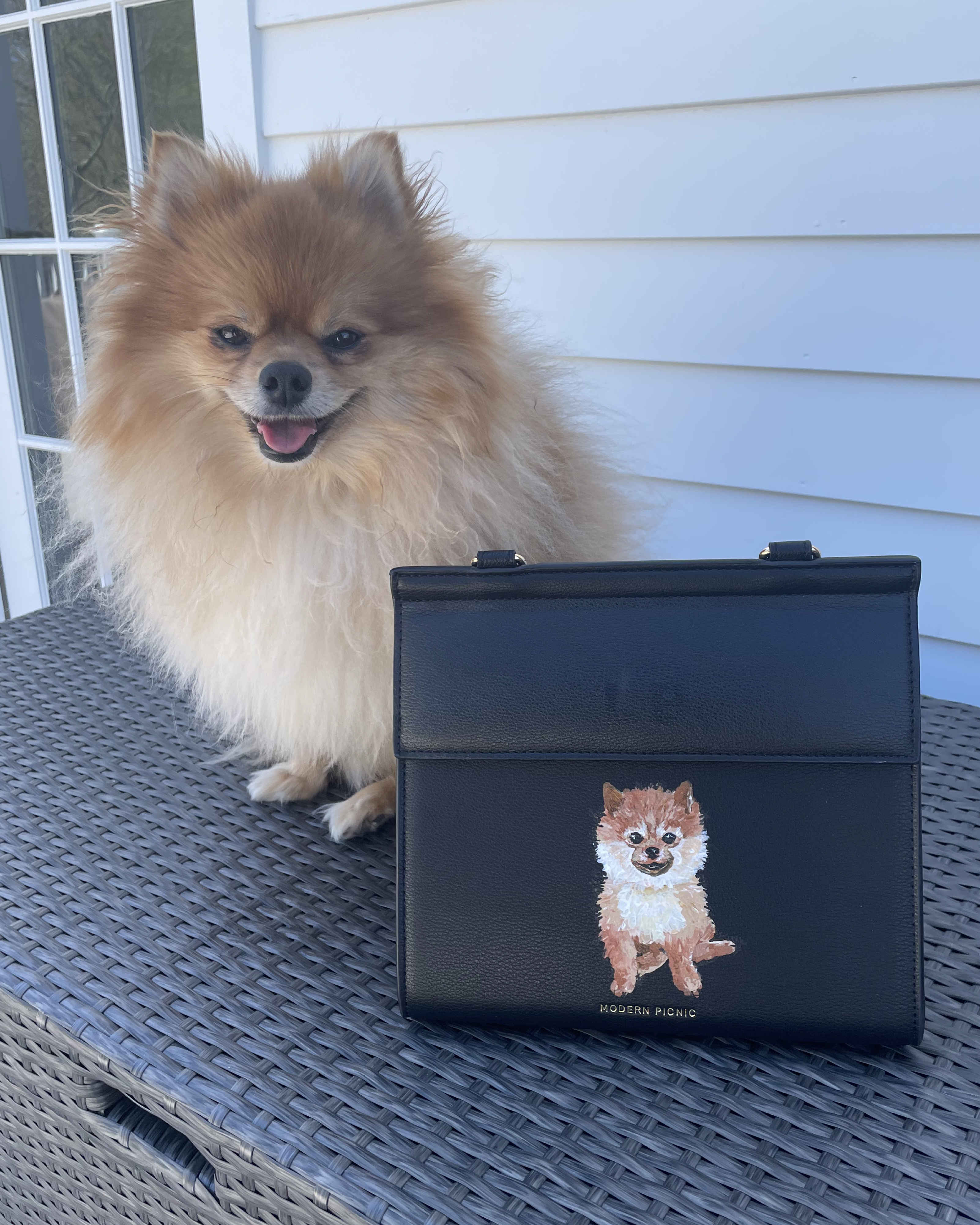 THE PET PORTRAIT LUNCHER