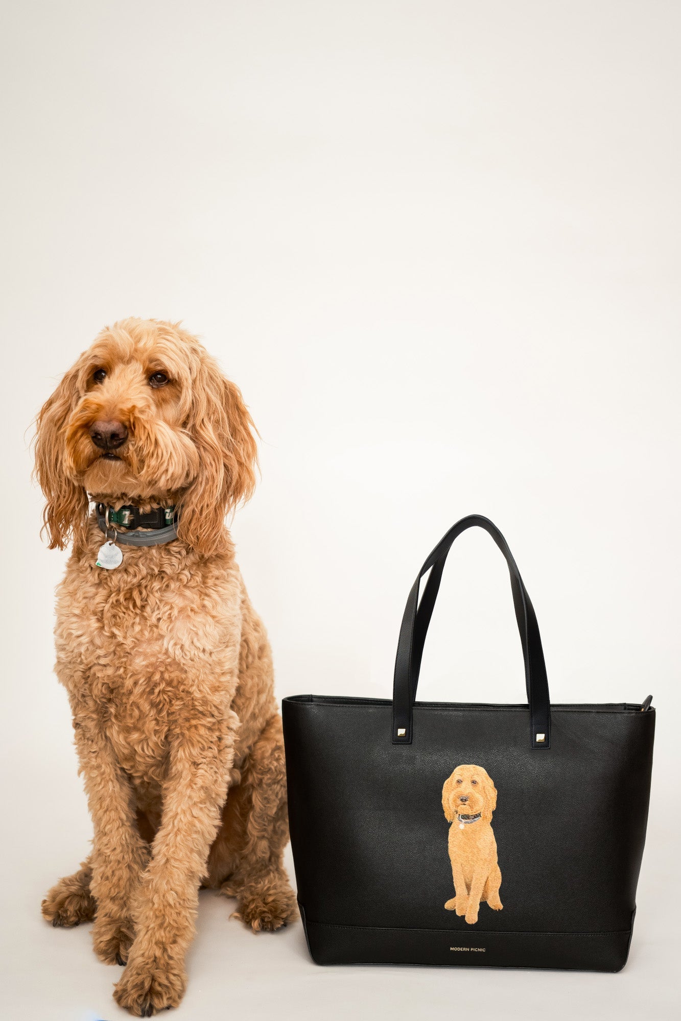 THE PET PORTRAIT LARGE LUNCHER